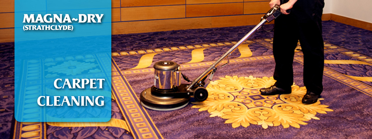 Carpet Cleaning Ayrshire and Glasgow